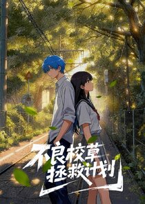 Bu Liang Xiao Cao Zheng Jiu Ji Hua Ne Zaman?'