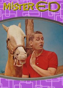 Mister Ed Ne Zaman?'