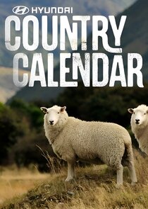 Hyundai Country Calendar Ne Zaman?'
