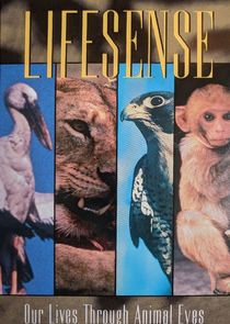 Lifesense Ne Zaman?'