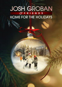 A Home for the Holidays Ne Zaman?'