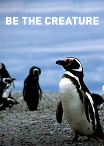Be the Creature Ne Zaman?'