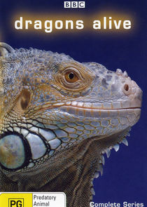 Dragons Alive Ne Zaman?'