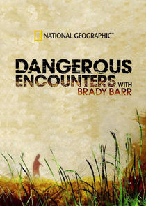 Dangerous Encounters Ne Zaman?'