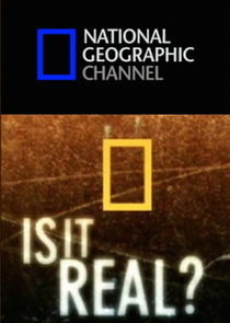 Is It Real? Ne Zaman?'