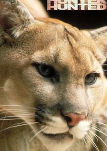 Hunter Hunted Ne Zaman?'