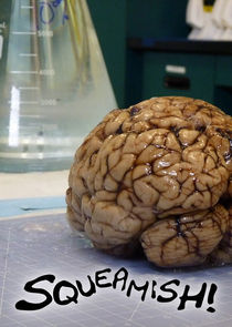 Squeamish! Ne Zaman?'