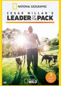 Cesar Millan's Leader of the Pack Ne Zaman?'