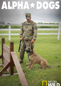 Alpha Dogs Ne Zaman?'