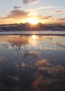 Anamnesis Ne Zaman?'