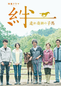 Ties: A Miraculous Colt Ne Zaman?'