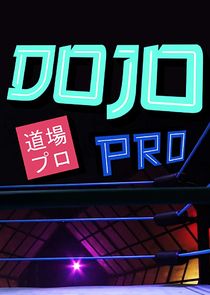 Dojo Pro Ne Zaman?'