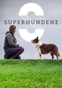 Superhundene Ne Zaman?'