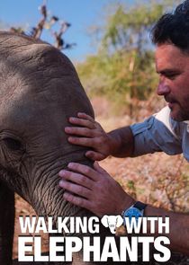 Walking with Elephants Ne Zaman?'