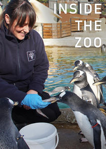 Inside the Zoo Ne Zaman?'