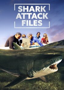 Shark Attack Files Ne Zaman?'