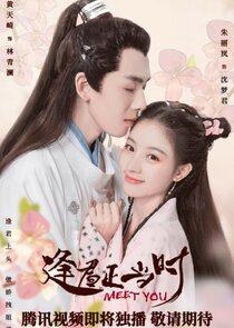 Feng Jun Zheng Dang Shi Ne Zaman?'