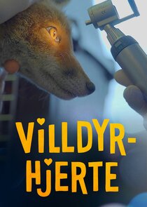 Villdyrhjerte Ne Zaman?'