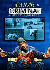 So Dumb It's Criminal Ne Zaman?'