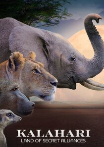 Kalahari: Land of the Secret Alliances Ne Zaman?'