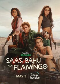 Saas, Bahu Aur Flamingo Ne Zaman?'