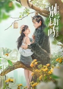 Bie Zou Hao Ma Bie Xi Jun Ne Zaman?'