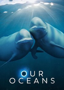 Our Oceans Ne Zaman?'