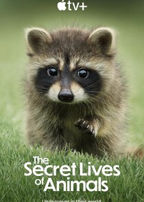 The Secret Lives of Animals Ne Zaman?'
