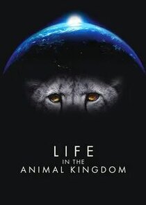Life in the Animal Kingdom Ne Zaman?'