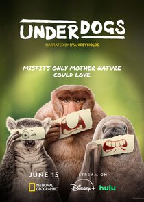 Underdogs Ne Zaman?'