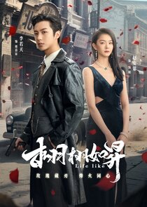 Life Like Ne Zaman?'