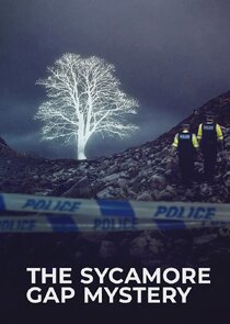 The Sycamore Gap Tree Mystery Ne Zaman?'