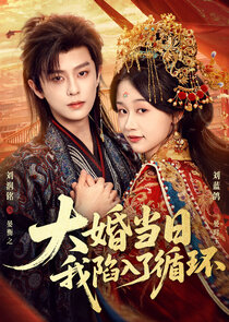Da Hun Dang Ri，Wo Xian Ru Le Xun Huan Ne Zaman?'